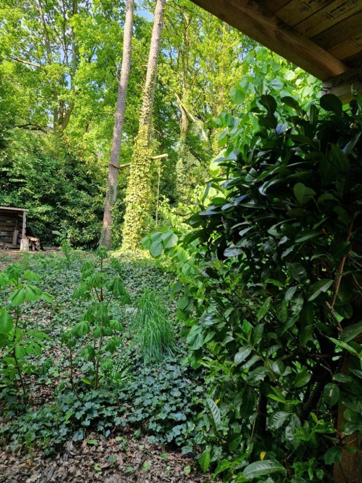 Benb Op De Vleet Vrijstaande Accommodatie Plantage Centrum Luaran gambar